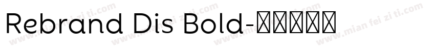 Rebrand Dis Bold字体转换